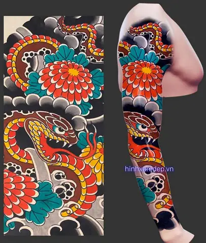 Phong Cách Phá»i Màu