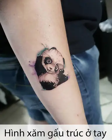 Hình Xăm Gấu Trúc Panda Màu
