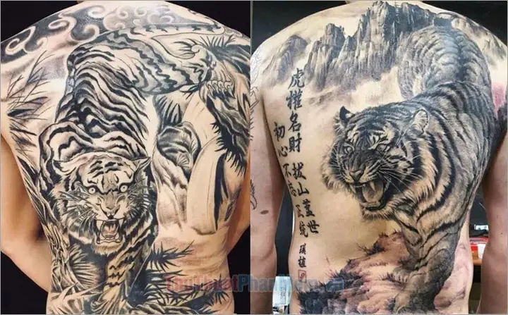Những Mẫu Hình Xăm Hổ Xuống Núi Đẹp Nhất