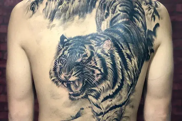 Hình Ảnh Cho Hình Xăm Hổ Xuống Núi Nửa Lưng: