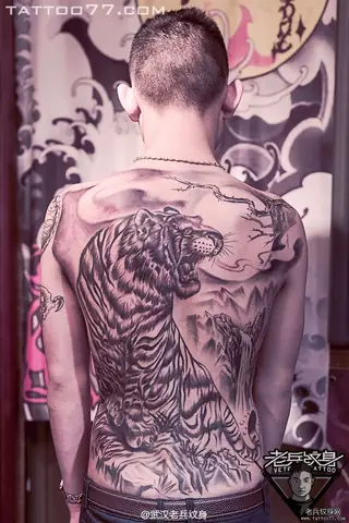 Hình Ảnh Cho Hình Xăm Hổ Xuống Núi Nửa Lưng: