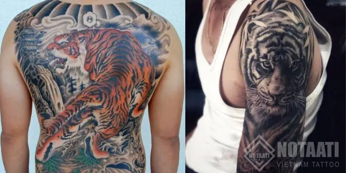 Hình Ảnh Cho Hình Xăm Hổ Xuống Núi Nửa Lưng: