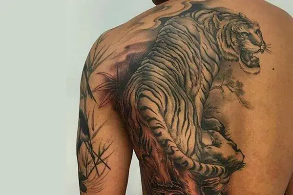 Hình Ảnh Cho Hình Xăm Hổ Xuống Núi Nửa Lưng: