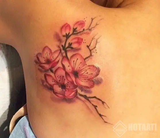 Gợi Ý Một Số Mẫu Hình Xăm Hoa Đào Đẹp, Ý Nghĩa Gợi Ý Một Số Mẫu Hình Xăm Hoa Đào Đẹp, Ý Nghĩa