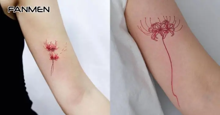 Tuyển Tập 50+ Hình Xăm Hoa Bỉ Ngạn Cho Nam Độc Đáo Và Ý Nghĩa Nhất