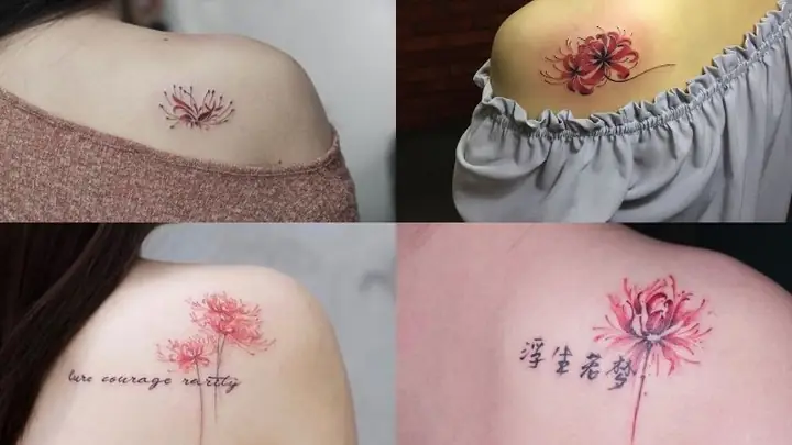 Hình Ảnh Cho Hình Xăm Mini Cho Nữ Hoa Bỉ Ngạn: Hình Ảnh Cho Hình Xăm Mini Cho Nữ Hoa Bỉ Ngạn: