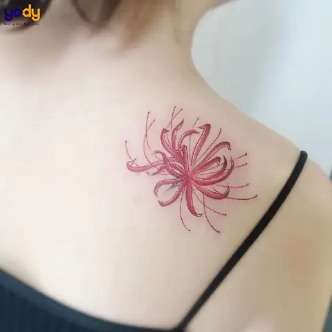Hình Ảnh Cho Hình Xăm Mini Cho Nữ Hoa Bỉ Ngạn: Hình Ảnh Cho Hình Xăm Mini Cho Nữ Hoa Bỉ Ngạn: