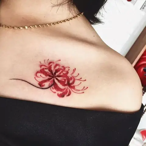 Hình Ảnh Cho Hình Xăm Mini Cho Nữ Hoa Bỉ Ngạn: