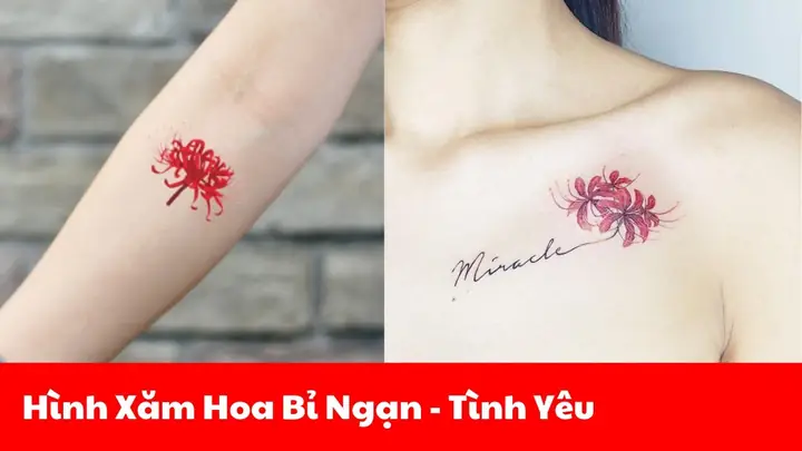 Hình Ảnh Cho Hình Xăm Mini Cho Nữ Hoa Bỉ Ngạn: Hình Ảnh Cho Hình Xăm Mini Cho Nữ Hoa Bỉ Ngạn:
