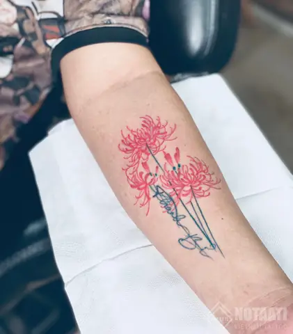 Hình Ảnh Cho Hình Xăm Mini Cho Nữ Hoa Bỉ Ngạn: Hình Ảnh Cho Hình Xăm Mini Cho Nữ Hoa Bỉ Ngạn: