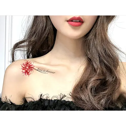 Hình Ảnh Cho Hình Xăm Mini Cho Nữ Hoa Bỉ Ngạn: Hình Ảnh Cho Hình Xăm Mini Cho Nữ Hoa Bỉ Ngạn: