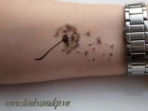 Hình Ảnh Cho Hình Xăm Mini Hoa Bồ Công Anh: