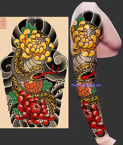 Câu Há»i Thæ°á»ng Gáº·p Khi Xäm Hình Hoa Cúc Nháº­t Cá»