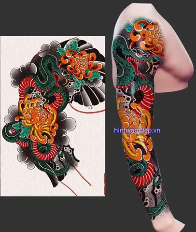 Câu Há»i Thæ°á»ng Gáº·p Khi Xäm Hình Hoa Cúc Nháº­t Cá»