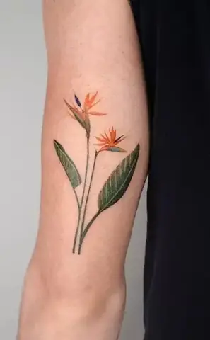 Hình Xăm Hoa Thiên Điểu