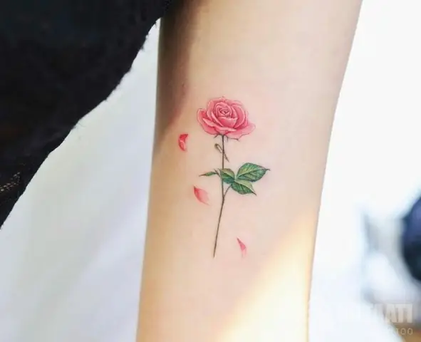 Hình Xăm Hoa Hồng Xanh Tượng Trưng Cho Điều Gì?