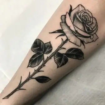 Tổng Quan Về Hình Thu Nhỏ Tổng Quan Về Hình Thu Nhỏ