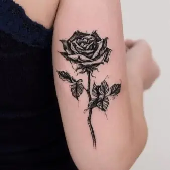Tôi Có Thể Lấy Nó Ở Đâu? Tôi Có Thể Lấy Nó Ở Đâu?