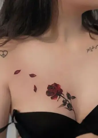 Hình Xăm Hoa Hồng Ở Ngực Hình Xăm Hoa Hồng Ở Ngực