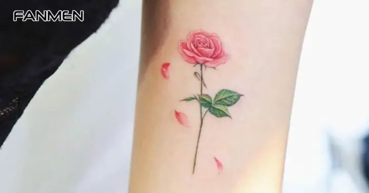 Hình Xăm Hoa Hồng Đỏ