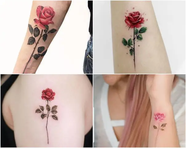 Bộ Sưu Tập Ảnh Hình Xăm Hoa Hồng Sáng Tạo Và Độc Đáo Bộ Sưu Tập Ảnh Hình Xăm Hoa Hồng Sáng Tạo Và Độc Đáo