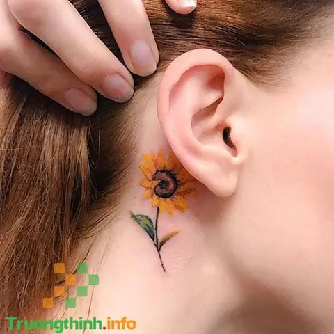 Hình Xăm Hoa Hướng Dương Ở Các Địa Thế Khác