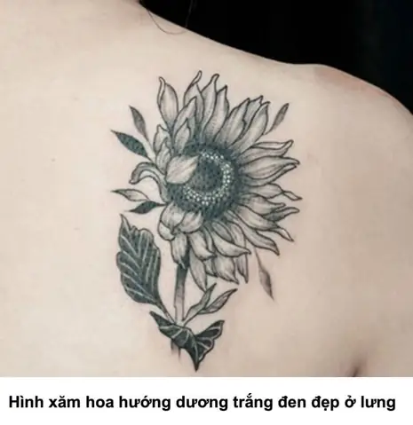 Hình Xăm Hoa Hướng Dương Trắng Đen