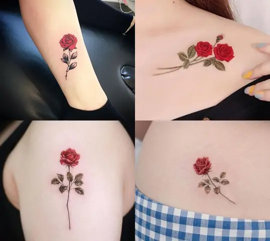 Hình Xăm Hoa Hồng Đỏ
