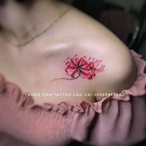 Top 10 Tattoos Hình Xăm Hoa Bỉ Ngạn Đẹp Nhất 2024