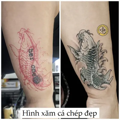 Hình Ảnh Cho Khung Hình Xăm Cá Chép Ở Tay:
