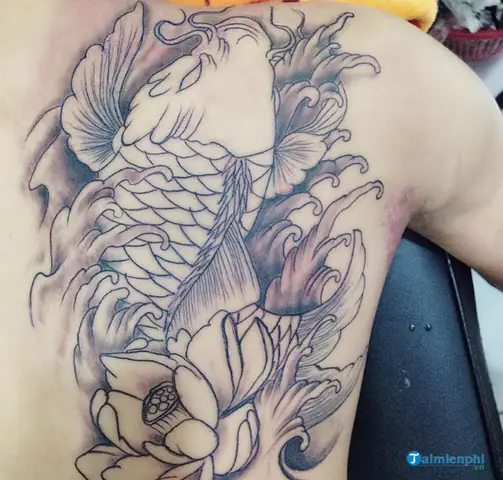 Hình Ảnh Cho Khung Hình Xăm Cá Chép Ở Tay: