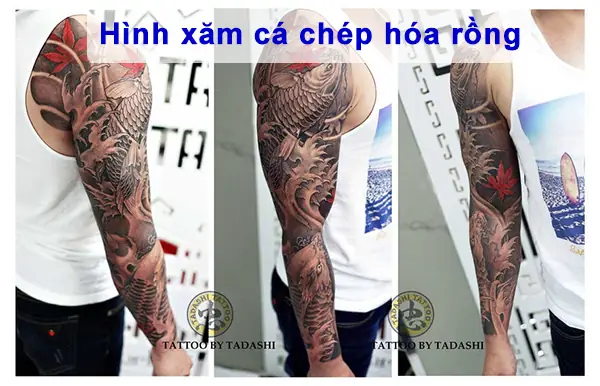 Hình Ảnh Cho Khung Hình Xăm Cá Chép Ở Tay: