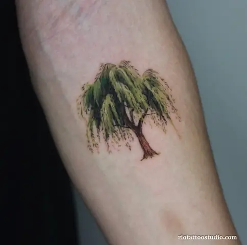 Hình Xăm Lá Liễu Mini Tại Rio Tattoo Studio Mang Nét Đẹp Nhỏ Gọn, Tinh Tế, Phù Hợp Với Những Ai Yêu Thích Sự Nhẹ Nhàng Và Ý Nghĩa Sâu Sắc.