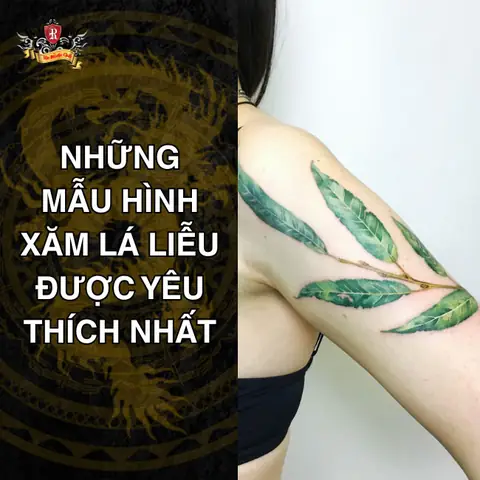 Những Mẫu Hình Xăm Lá Liễu Được Yêu Thích Nhất