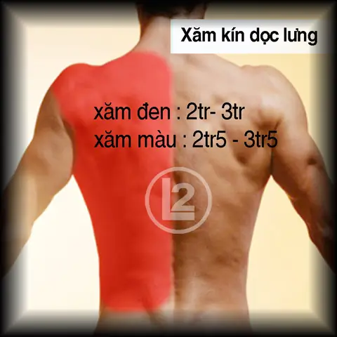 Hình Xăm Maories Vòng Tay Giá Bao Nhiêu