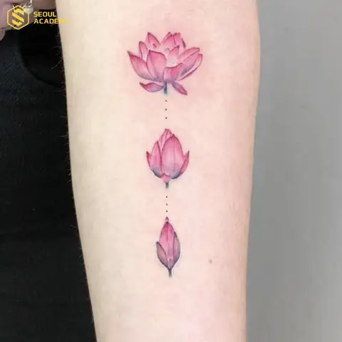 Hình Xăm Hoa Sen