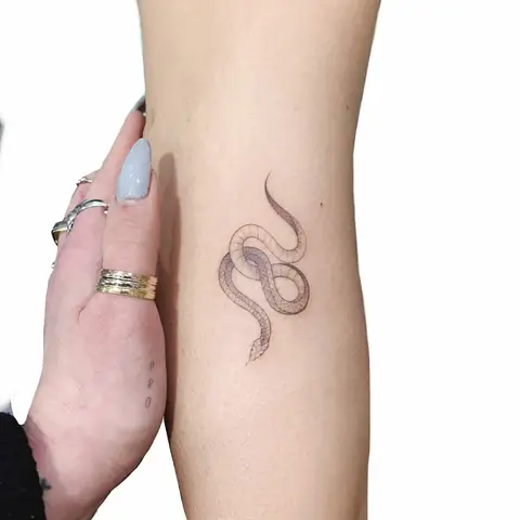 Hình Xăm Medusa Mini