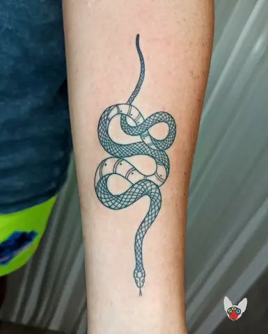 Hình Xăm Medusa Mini