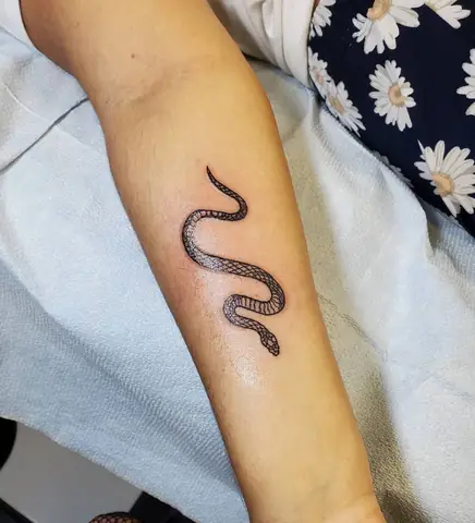 Hình Xăm Medusa Mini