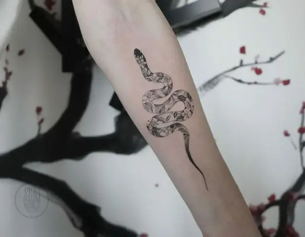 Hình Xăm Medusa Mini