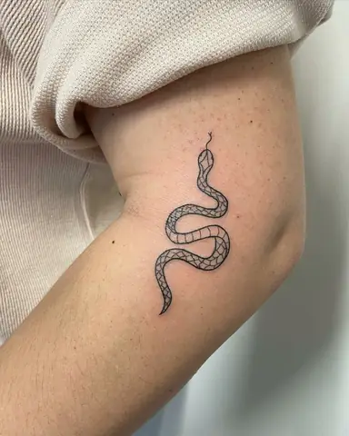 Hình Xăm Medusa Mini