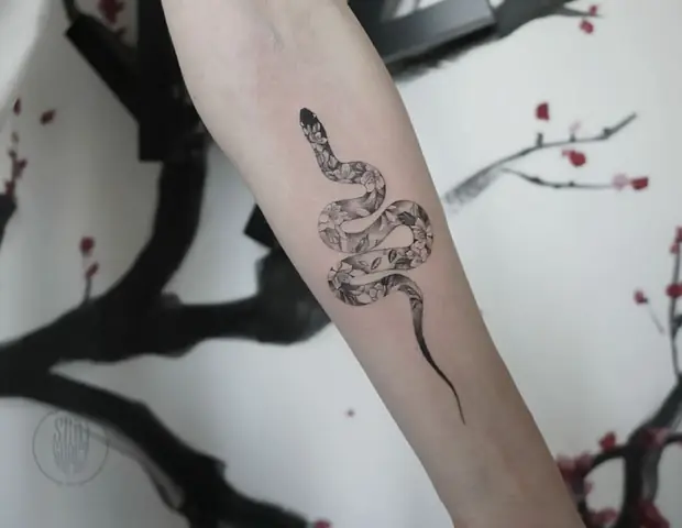 Hình Xăm Medusa Mini