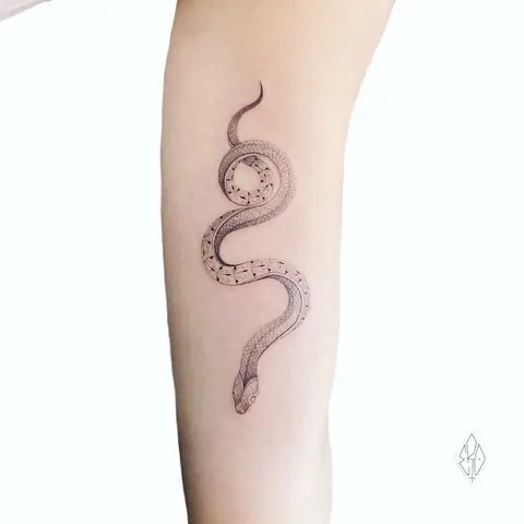 Hình Xăm Medusa Mini
