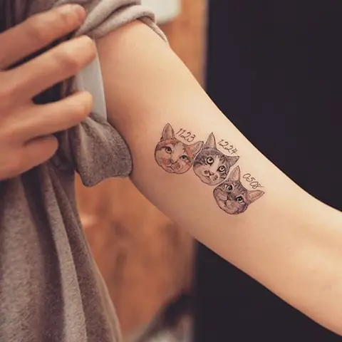 Hình Xăm Con Mèo Nhỏ