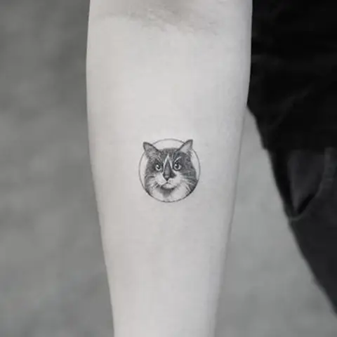 Hình Xăm Con Mèo Nhỏ