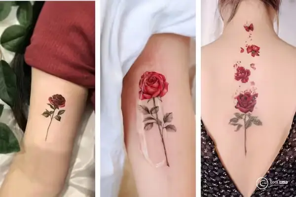 Hình Xăm Hoa Hồng Đỏ Bắt Mắt Cho Người Mệnh Thổ