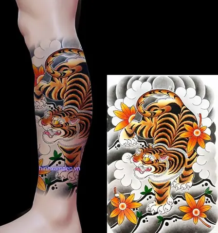 Äiá»u Cáº§n Biáº¿t Træ°á»c Khi Quyáº¿t Äá»nh