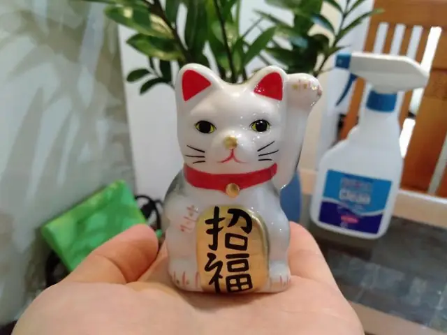 Linh Vật May Mắn Từ Thế Giới Động Vật Linh Vật May Mắn Từ Thế Giới Động Vật