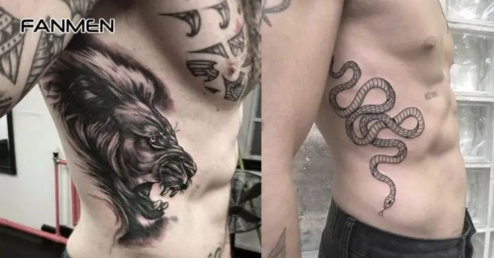 Hình Xăm Động Vật Ở Hông Eo Nam