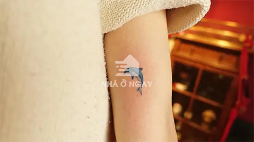 Hình Xăm Cá Heo + Chim Nhạn + Mây Trắng: Biểu Tượng Tự Do Hình Xăm Cá Heo + Chim Nhạn + Mây Trắng: Biểu Tượng Tự Do